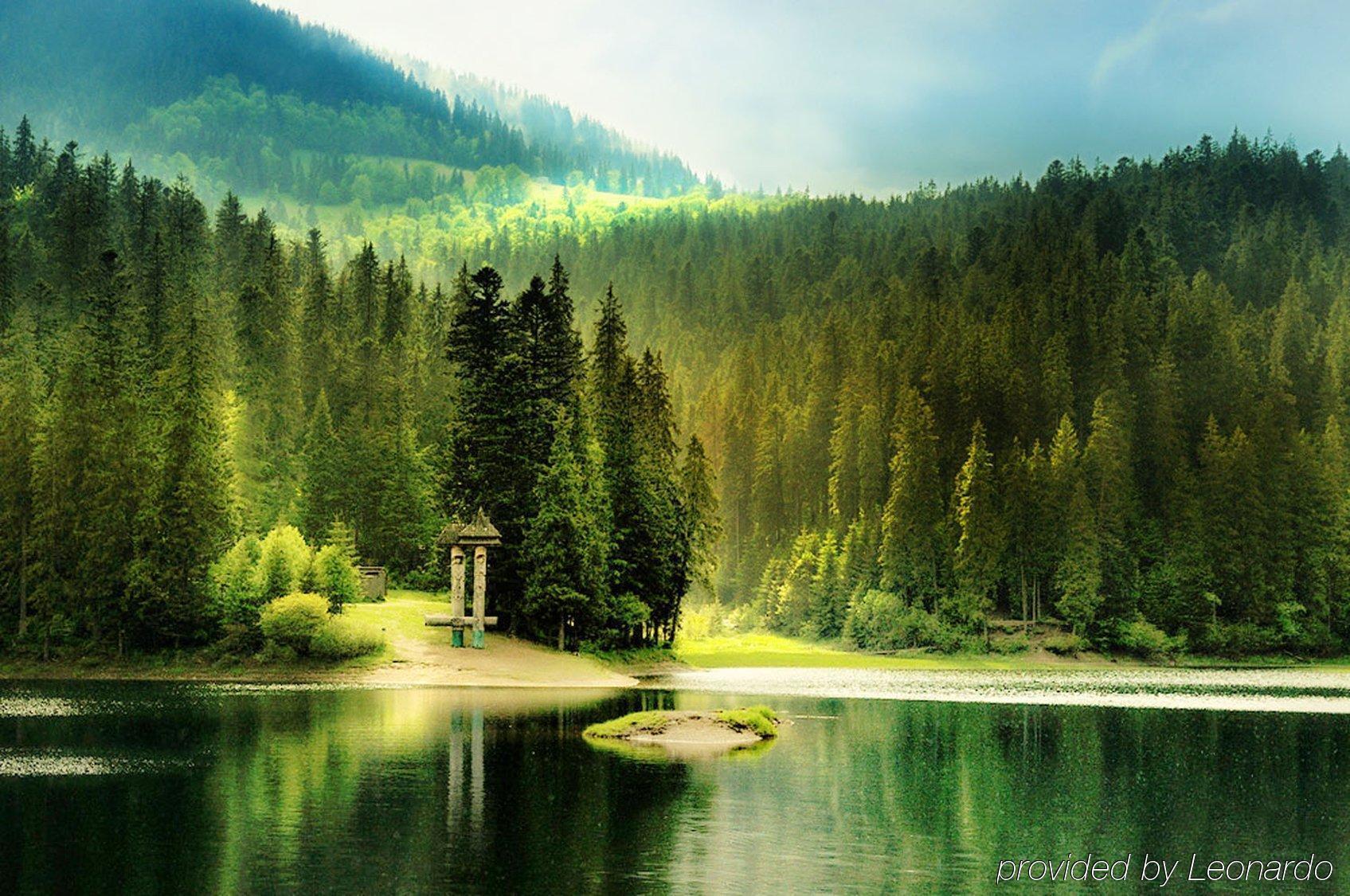 Vitapark Carpaty Zhdeniievo Dış mekan fotoğraf